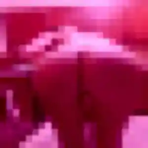 Maeva, 27 ans, disponible à Trun pour une rencontre coquine