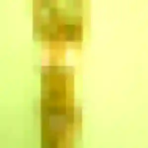 plan cul à Us : profil de Mila, 33 ans - sans engagement