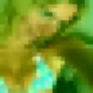 Photo de Solene à Uxem (38 ans) - plan cul sans inscription