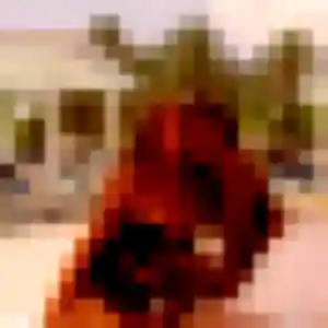 Photo de Leila à Vains (28 ans) - plan cul gratuit