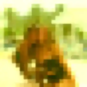 Profil de Mila à Val-au-Perche (23 ans) - plan cul sans inscription