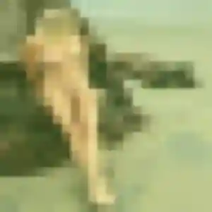 Elena, 23 ans, en ligne à Val-du-Maine pour une rencontre coquine