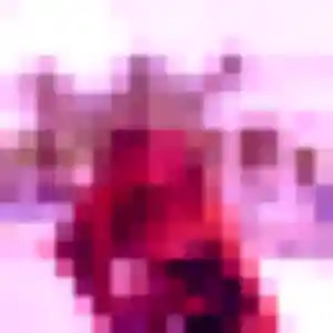 Photo perso de Mila, 34 ans à Val-du-Maine - plan discret