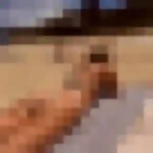 Découvre Thais, 34 ans à Valframbert en t'inscrivant