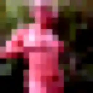 plan cul à Vatan : photo de Roxane, 37 ans - sans engagement