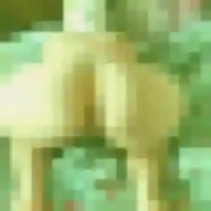 Photo de Meryem à Vauréal (22 ans) - plan cul discret