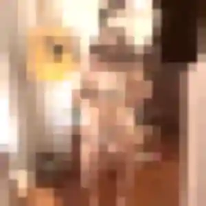 Belle Alina, 19 ans à Vayrac - voir sa photo