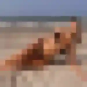 Capucine, 23 ans, en ligne à Vazerac pour une rencontre coquine