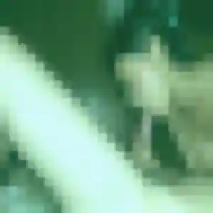 Selma, 29 ans, cherche un plan cul à Vémars