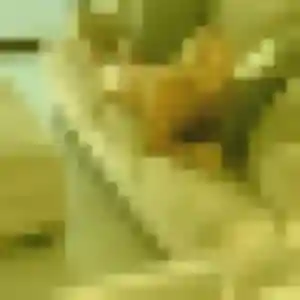 Contacte Celia, 38 ans à Venarey-les-Laumes en t'inscrivant