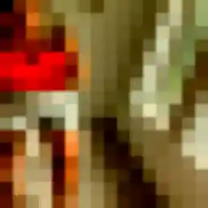 Découvre Leila, 30 ans à Vendin-le-Vieil gratuitement