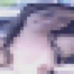 Photo privée de Feriel, 28 ans à Véranne - plan discret