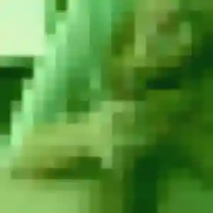 Jolie Celeste, 22 ans à Vermand - la contacter