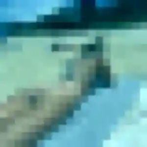 plan cul à Verneuil-sur-Seine : photo de Zelie, 38 ans - inscription gratuite