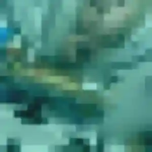 Elena, femme de 31 ans propose plan cul à Vernon