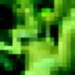 Clarisse, 19 ans, veut un plan cul à Vernou-sur-Brenne