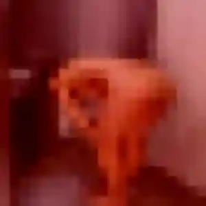 Mailys (24 ans) à Verquigneul propose une rencontre aujourd'hui