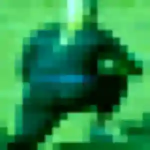 Amandine, 27 ans, connectée à Vert pour une rencontre coquine