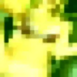 Photo perso de Clarisse, 24 ans à Vertou - rencontre coquine