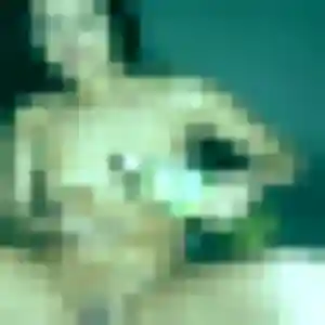 Oceane (32 ans) à Vertou attend une rencontre maintenant