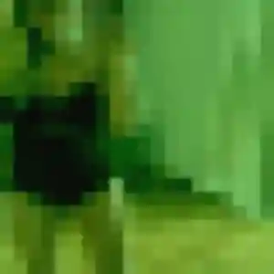 Salome, 32 ans, disponible à Veyrier-du-Lac pour une rencontre coquine