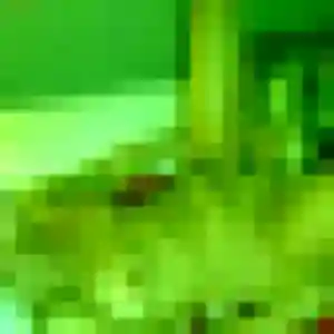 Contacte Constance, 25 ans à Vibeuf gratuitement