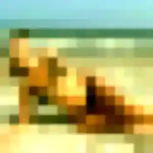 Belle Manel, 31 ans à Vieux-Manoir - voir sa photo