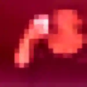 Rencontre Lison, 27 ans à Vignacourt gratuitement