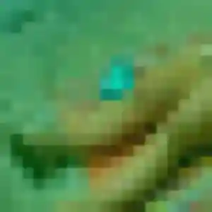 Solene, 28 ans, connectée à Vignoc pour un plan cul