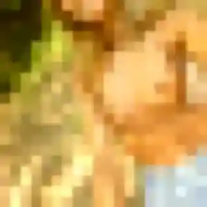 Leila, femme de 21 ans cherche plan cul à Ville-di-Pietrabugno