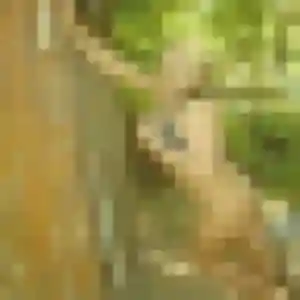 Photo privée de Olivia, 31 ans à Villefranche-du-Périgord - rencontre sans lendemain