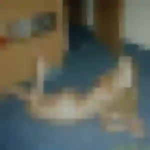 Louna de Villeneuve-les-Bordes, 28 ans - plan cul discret