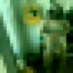 Constance (26 ans) à Villeron cherche une rencontre maintenant