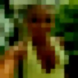 Belle Olivia, 27 ans à Villers-au-Bois - voir sa photo