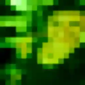 Amandine, 31 ans, cherche un plan cul à Villers-sous-Saint-Leu