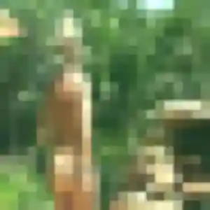 Capucine (19 ans) à Villers-sur-le-Roule cherche un plan cul maintenant