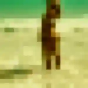 Charmante Garance, 19 ans à Villers-sur-le-Roule - voir sa photo