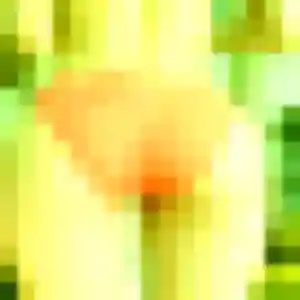 Photo de Lison à Villiers-en-Désœuvre (24 ans) - plan cul gratuit