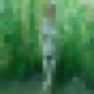 Candice (34 ans) à Villiers-sur-Loir propose une rencontre maintenant