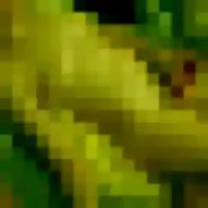 Syrine, fille de 38 ans propose plan cul à Vire Normandie