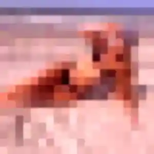 Zelie (23 ans) à Viry-Noureuil propose un plan cul ce soir