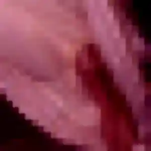 Justine, 26 ans, dispo pour plan cul à Viviers