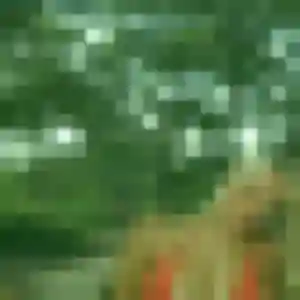 Photo perso de Amandine, 22 ans à Vœuil-et-Giget - rencontre coquine