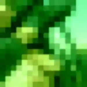 Photo perso de Tessa, 27 ans à Voisins-le-Bretonneux - rencontre sans lendemain