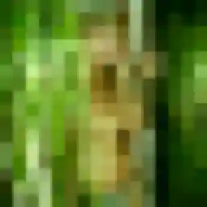 Photo exclusive de Charline, 22 ans à Waldwisse - plan discret