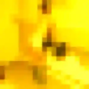 Photo privée de Viviane, 35 ans à Wangen - rencontre sans lendemain