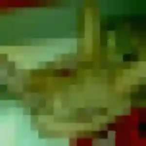 Photo de Constance à Warluis (25 ans) - plan cul anonyme