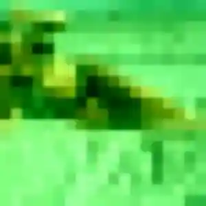 Imen (36 ans) à Wasnes-au-Bac cherche un plan cul maintenant