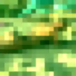 Mona, femme de 34 ans cherche plan cul à Wasquehal