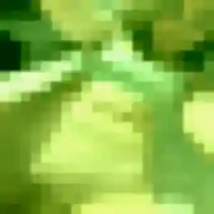 Photo exclusive de Meryem, 31 ans à Wierre-Effroy - rencontre coquine